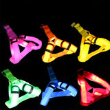 Nylon LED Harness For Pet Safety