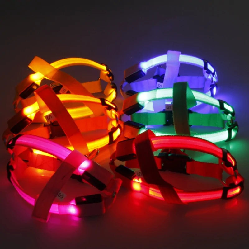 Nylon LED Harness For Pet Safety