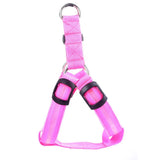 Nylon LED Harness For Pet Safety